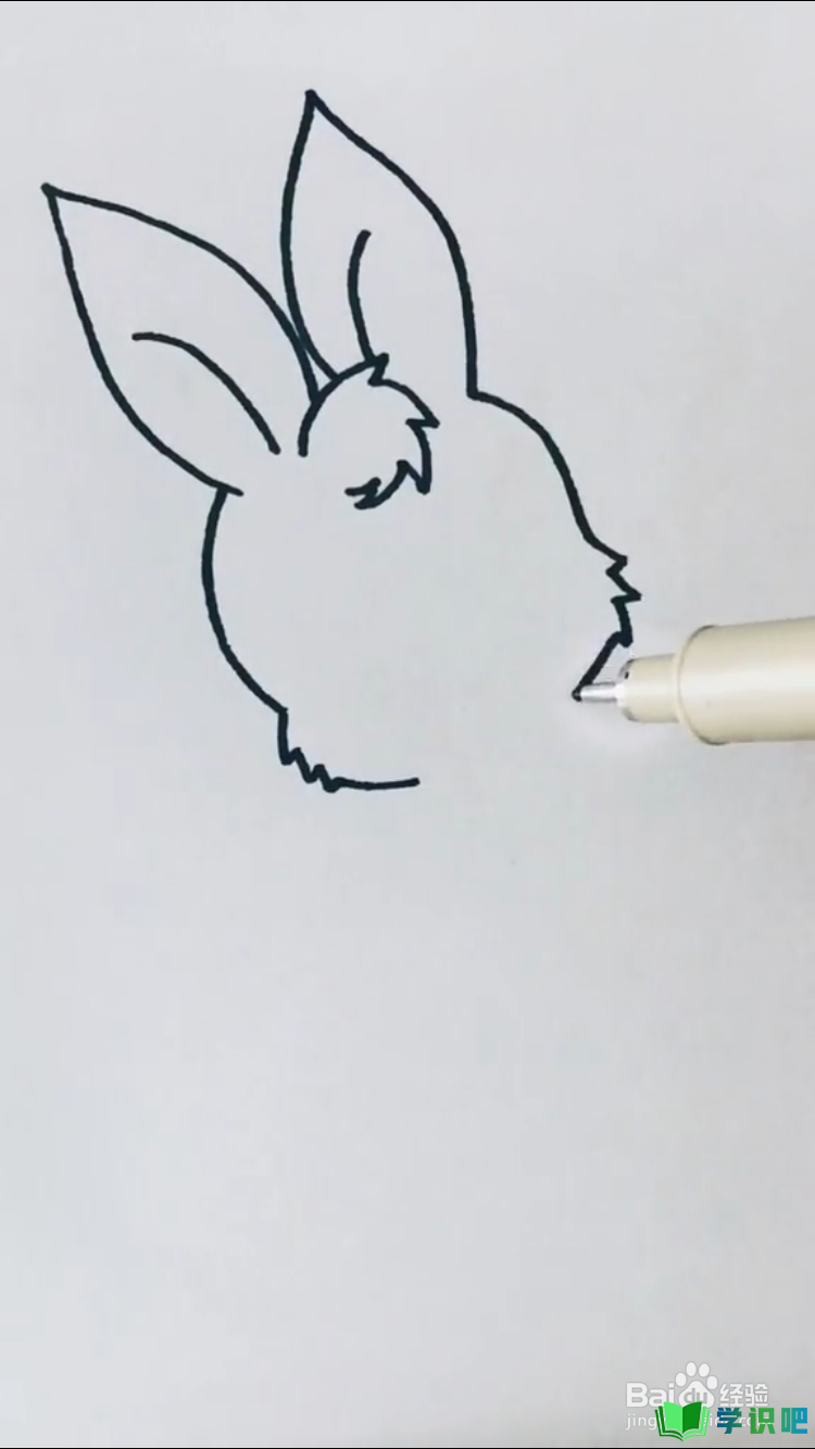 兔子的简笔画怎么画？ 第2张
