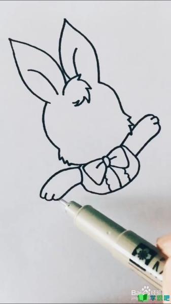 兔子的简笔画怎么画？ 第4张