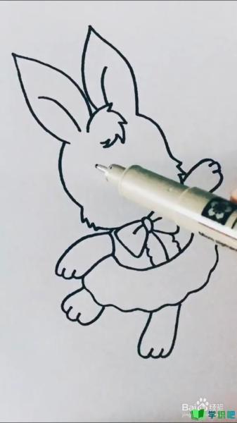兔子的简笔画怎么画？ 第6张