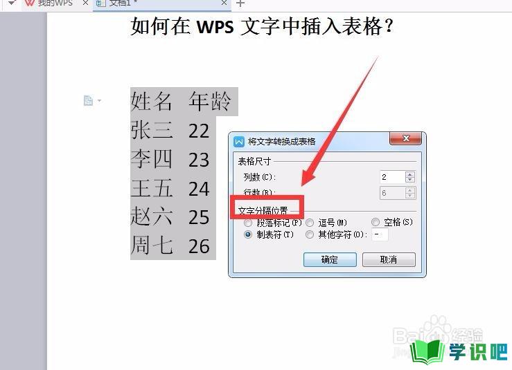 如何在WPS文字中将文本转换为表格？ 第8张