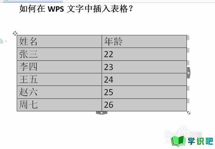 如何在WPS文字中将文本转换为表格？ 第9张