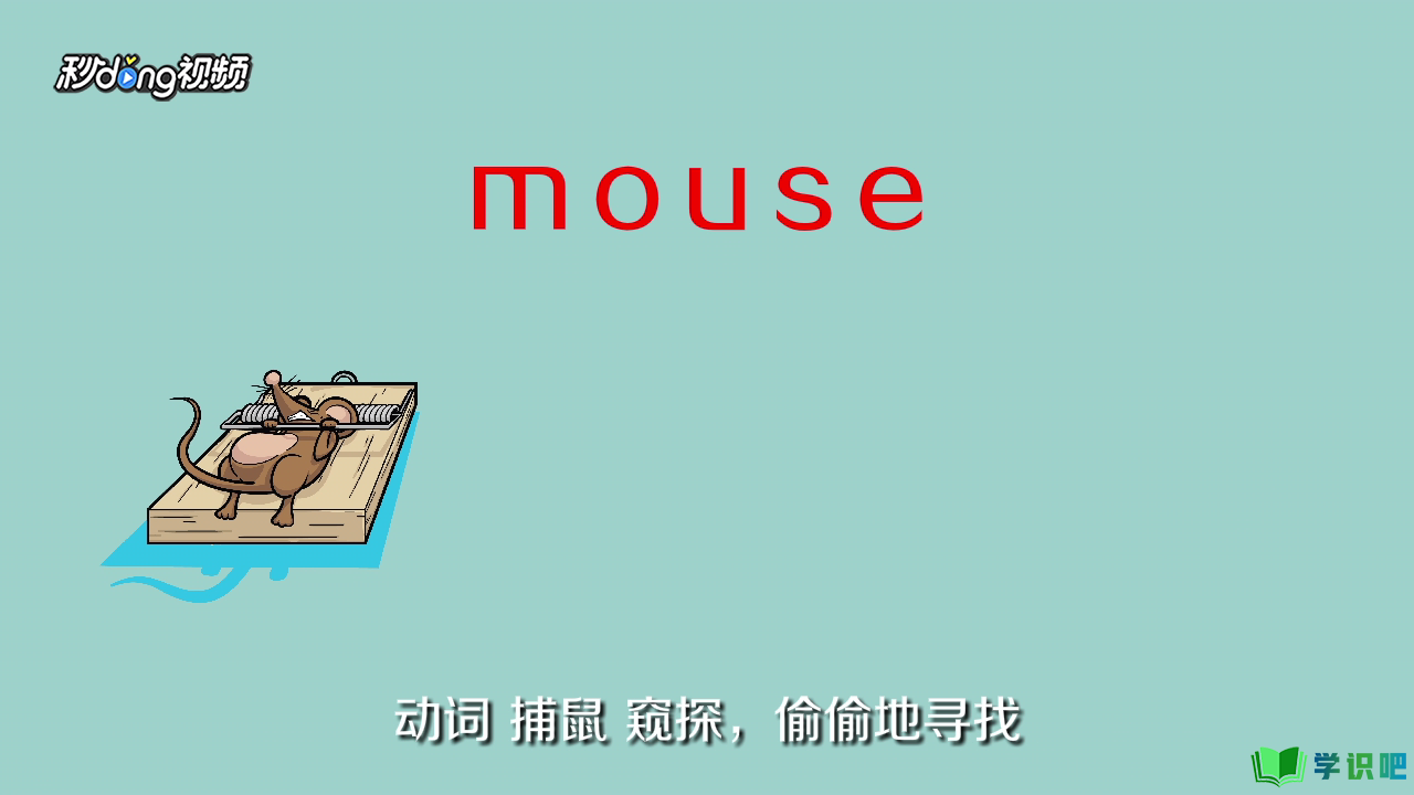 老鼠用英语怎么说？
