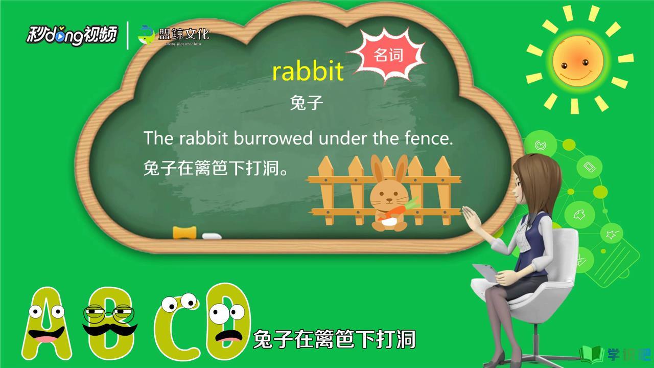 兔子的英语怎么写？ 第2张