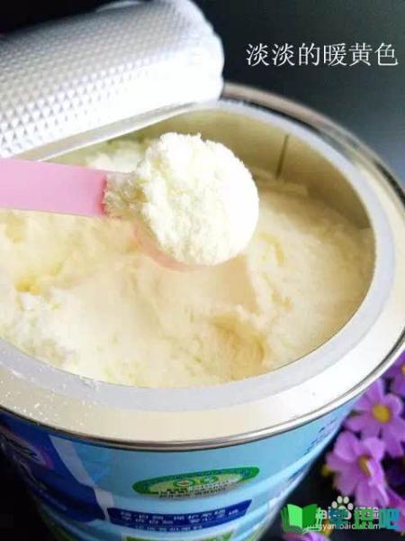 教你如何辨别奶粉品质？ 第3张