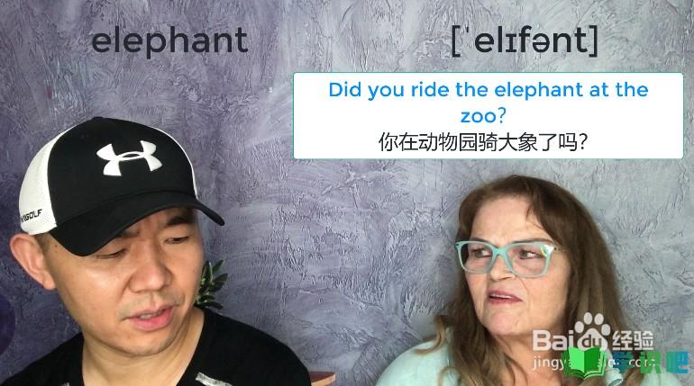 大象用英语怎么说？ 第5张