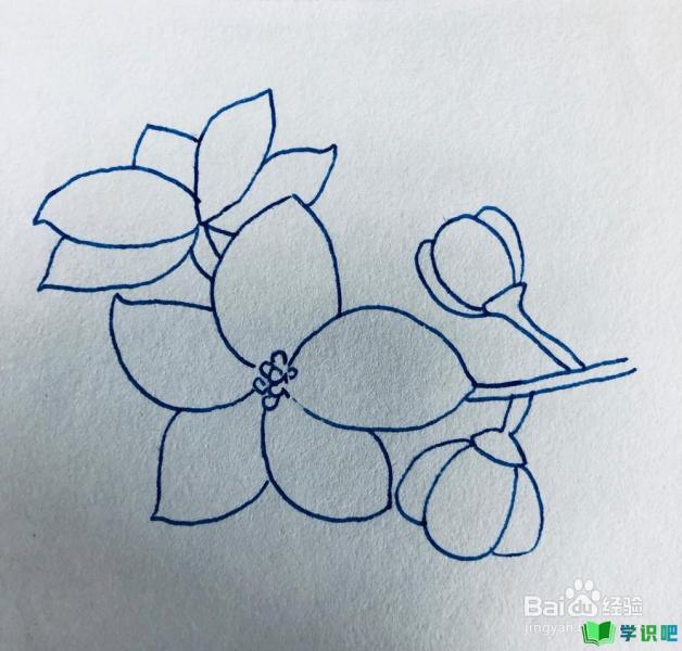 怎么绘画漂亮的樱花？ 第1张