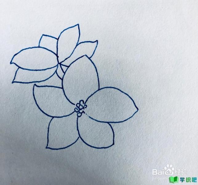 怎么绘画漂亮的樱花？ 第5张