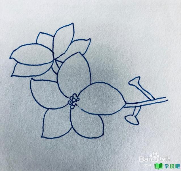怎么绘画漂亮的樱花？ 第6张