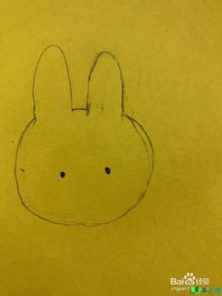 米菲兔的简笔画怎么画？ 第7张