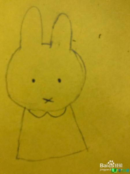 米菲兔的简笔画怎么画？ 第10张