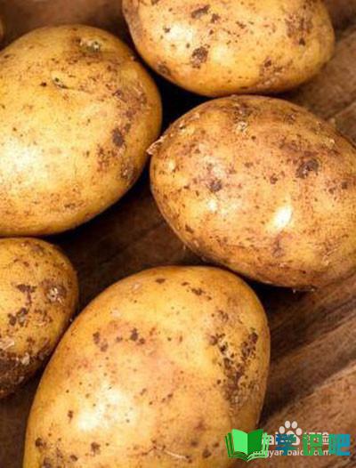 土豆泥怎么做才好吃又简单又减肥？ 第2张