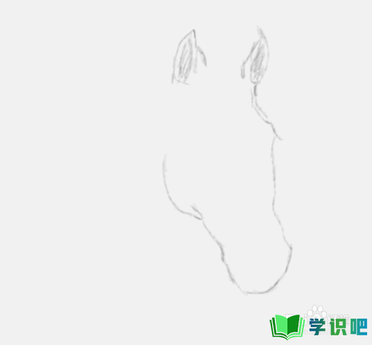 素描画马头是怎么画的？