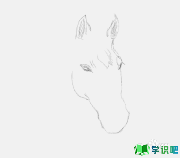 素描画马头是怎么画的？