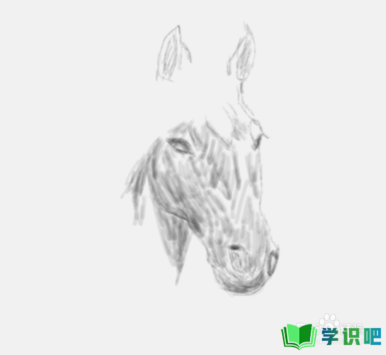 素描画马头是怎么画的？ 第5张