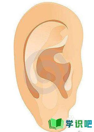 掏耳朵导致耳朵疼怎么办？
