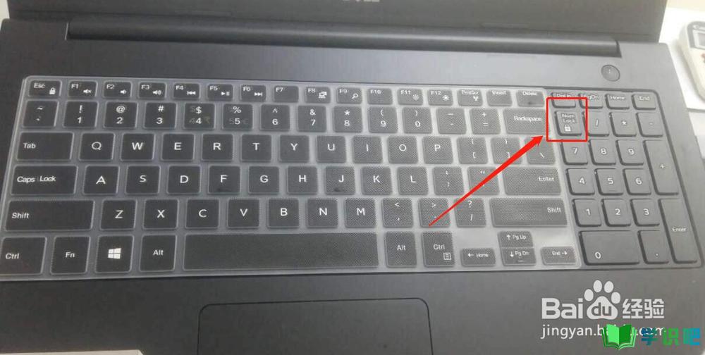电脑无法打字键盘没有反应怎么办？ 第2张