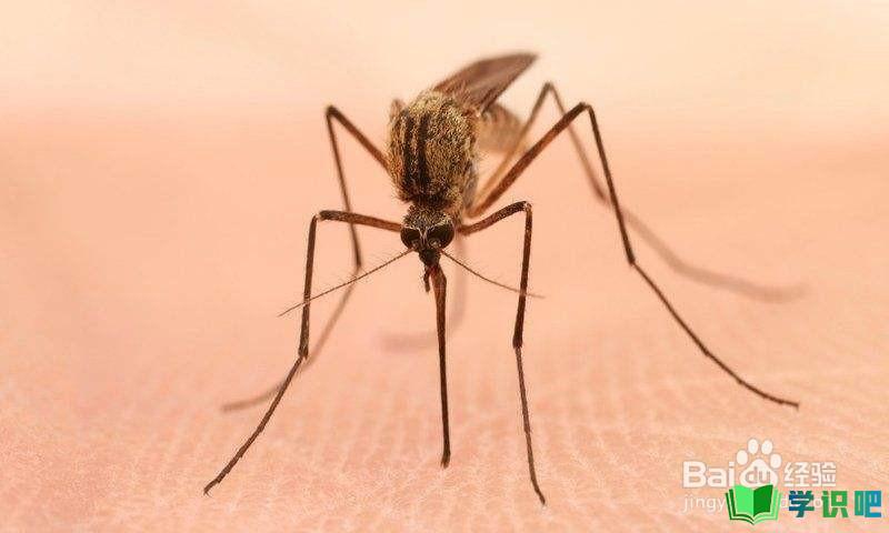 宝宝被蚊子叮咬怎么办？