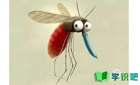 夏天房间蚊子太多了怎么办？