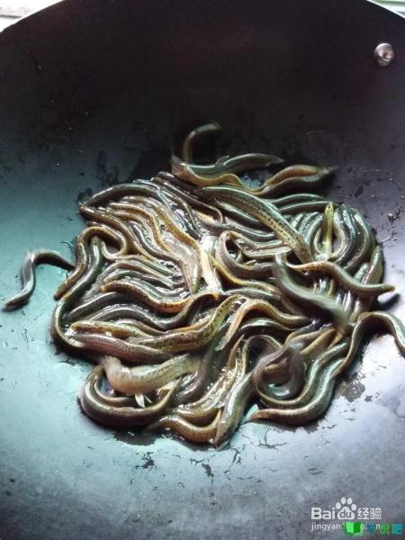 泥鳅怎么做好吃的家常菜？ 第4张